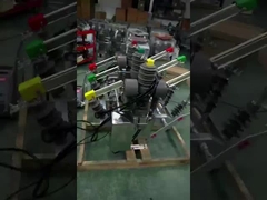 Disjoncteur extérieur sous vide de 12 kV avec certification CEI