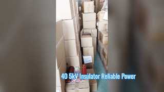 Un examen plus attentif : bagues de bec de bouclier isolant en résine époxy haute tension 40,5 kV, hauteur 660 mm