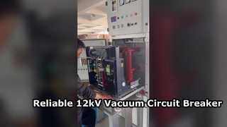 Présentez le disjoncteur à vide intérieur haute tension 12 kV monté sur le côté 630A-1250A pour vous