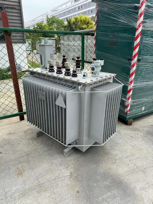 11kv/800kVA Three Phase Oil Immersed Power Transformer