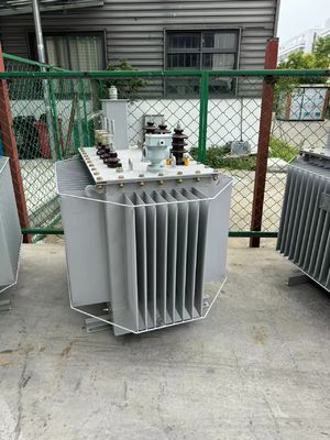 11kv/800kVA Three Phase Oil Immersed Power Transformer