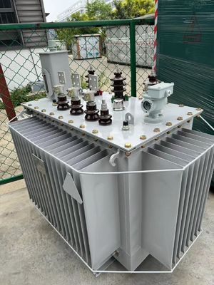 11kv/800kVA Three Phase Oil Immersed Power Transformer