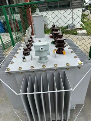 11kv/800kVA Three Phase Oil Immersed Power Transformer
