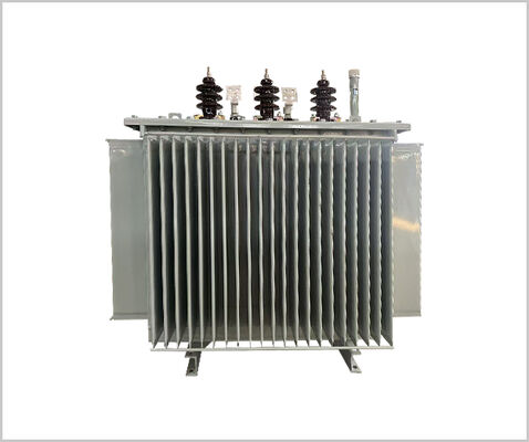 11kv/800kVA Transformateur de puissance à trois phases immergé dans l'huile